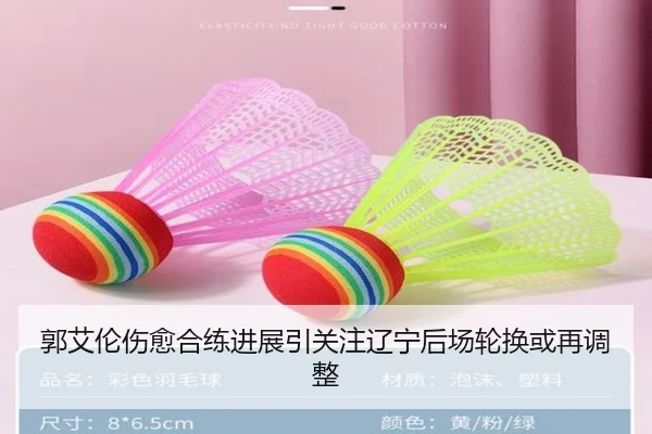 郭艾伦伤愈合练进展引关注辽宁后场轮换或再调整
